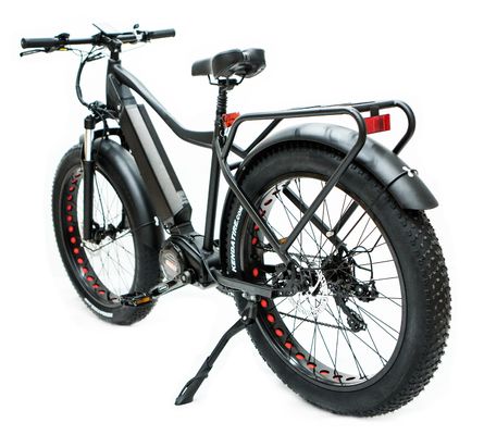 Mercato USA EN15194 CPSC 48V 1000W 17AH Electric Mountain Bike con motore medio Bafang