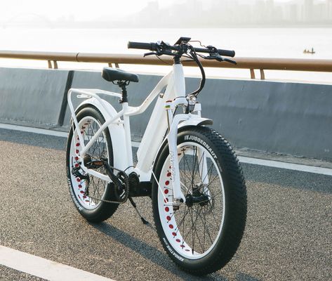 Mercato USA EN15194 CPSC 48V 1000W 17AH Electric Mountain Bike con motore medio Bafang