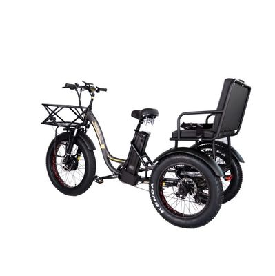 16.7 Ah Capacità della batteria 750 WATTRICICLO ELETTRICO DI RICKSHAW per passeggeri