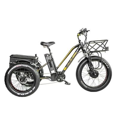 16.7 Ah Capacità della batteria 750 WATTRICICLO ELETTRICO DI RICKSHAW per passeggeri