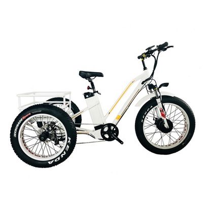 48V 14AH Cesto posteriore 4.0 pneumatici da neve triciclo elettrico da carico con certificazione CE USA