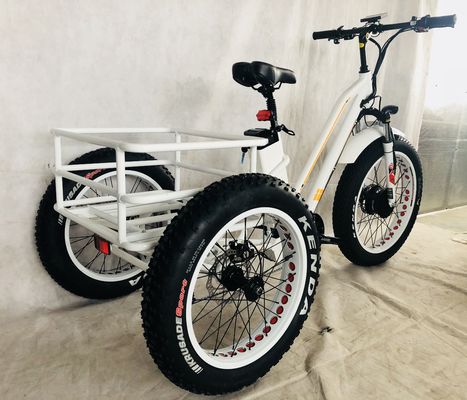 48V 14AH Cesto posteriore 4.0 pneumatici da neve triciclo elettrico da carico con certificazione CE USA