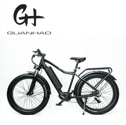 26x4.0 Inch Mountain Electric Fat Tire Bike con 1000W Diver Motor e Front Carrier