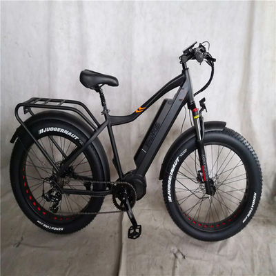 26x4.0 Inch Mountain Electric Fat Tire Bike con 1000W Diver Motor e Front Carrier