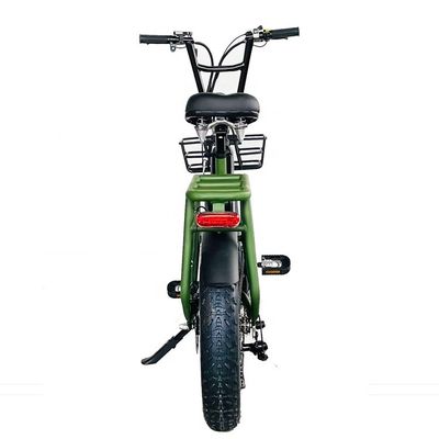 20&quot; 48V 34AH Batteria al litio 1000W 50KM/H Cornice in alluminio 7 velocità Cargo Elettrica doppia batteria ibrida Fat Snow Tire 4.0 Bicicletta