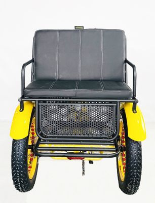 US Fat Tire Triciclo elettrico per passeggeri con motore Bafang da 1000 W e pedale in alluminio