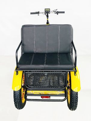 US Fat Tire Triciclo elettrico per passeggeri con motore Bafang da 1000 W e pedale in alluminio