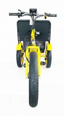 24 pollici pneumatici di neve 4.0 triciclo rickshaw elettrico con motore 48V 750W e sedile posteriore
