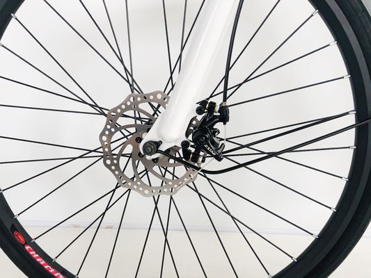 28 pollici City Bike 36V250W batteria al litio 14AH EN15194 EN15194 per donne Lady USA Europa