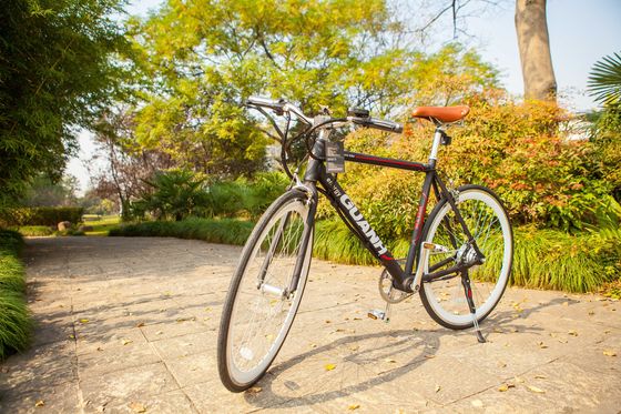 700C Aluminum Electric Bike CE EN15194 Certificato 36V 350W Motore 10.8AH Batteria al litio nascosta