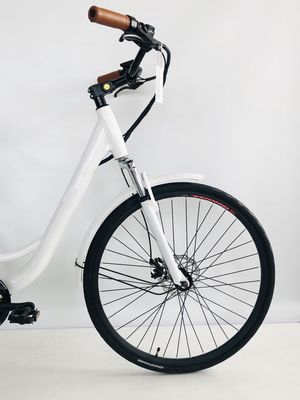 USA USD390 500W 48V 14AH Bicicletta elettrica donna con 7 marce e display LCD