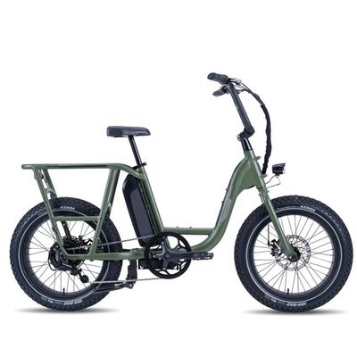 48V 1000W 32MPH Electric Hybrid Cargo Bike con pneumatico 20&quot;4.0 Fat e coppia di 80-90 Nm