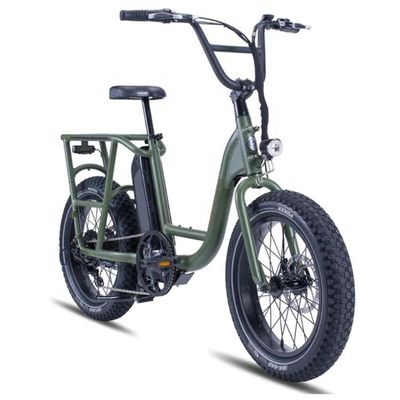 48V 1000W 32MPH Electric Hybrid Cargo Bike con pneumatico 20&quot;4.0 Fat e coppia di 80-90 Nm