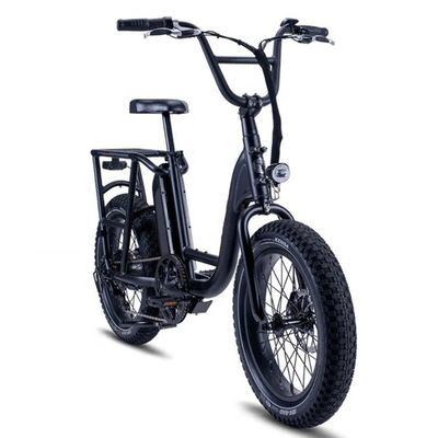 48V 1000W 32MPH Electric Hybrid Cargo Bike con pneumatico 20&quot;4.0 Fat e coppia di 80-90 Nm