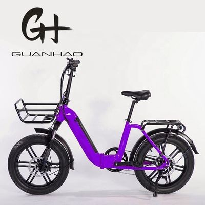 Motore Magwheel 750W tramite telaio pieghevole in alluminio sospensione forchetta bici pieghevole elettrica