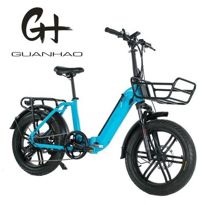 Motore Magwheel 750W tramite telaio pieghevole in alluminio sospensione forchetta bici pieghevole elettrica