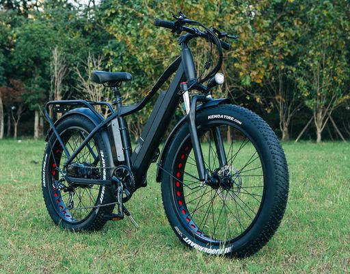Miglior bici elettrica a pneumatici a grassi da 1000W 26&quot; Bicicletta elettrica con batteria da 17Ah