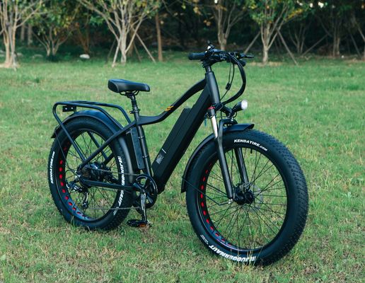 Miglior bici elettrica a pneumatici a grassi da 1000W 26&quot; Bicicletta elettrica con batteria da 17Ah