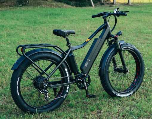 Miglior bici elettrica a pneumatici a grassi da 1000W 26&quot; Bicicletta elettrica con batteria da 17Ah