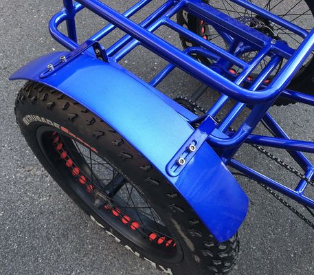 Freno Tektro Disco Freno 24 pollici Fat Tire Adulto 3 Ruota 48V1000W Electric Cargo Bike