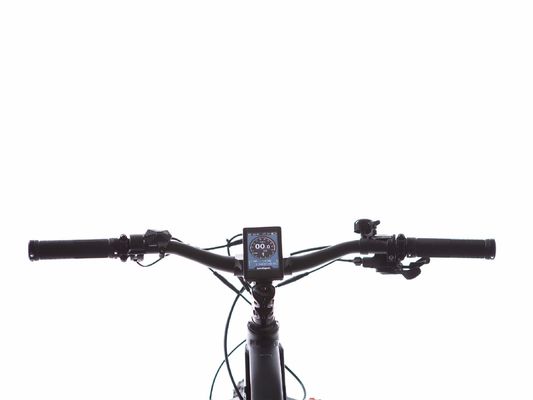 8 SPEED Ingranaggi 26 pollici 48V 17Ah Batteria al litio Bici elettrica di montagna con 1000W Bafang Motore medio