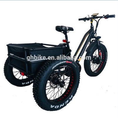 Mercato USA BAFANG Sensor Tricicli elettrici con tre ruote e freno a disco idraulico