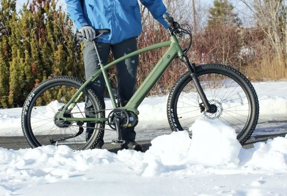 36V 350W EN15194 2007 Bicicletta elettrica a velocità singola con batteria al litio da 10,41AH e PAS