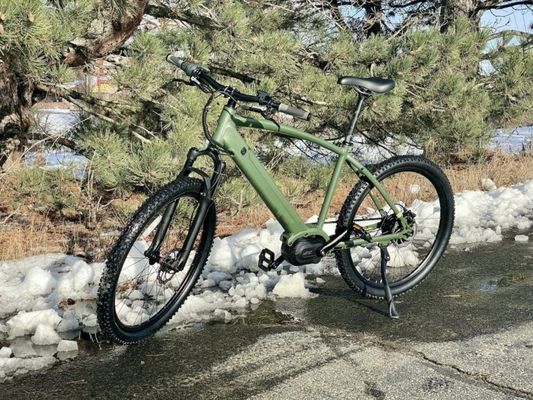 36V 350W EN15194 2007 Bicicletta elettrica a velocità singola con batteria al litio da 10,41AH e PAS