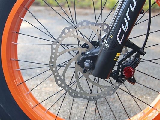 Telaio a sospensione completa da 1000 W 14 Ah 20 &quot;x4.0 Fat Tire Big Flat Snow Tire Freno a disco Ebike