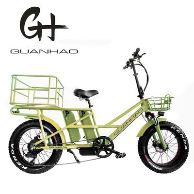 Cornice in lega di alluminio 48V34AH 1000W Fat Tire Ebike con doppie batterie e due cestini