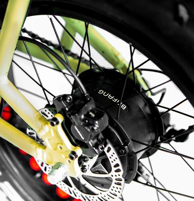 Cornice in lega di alluminio 48V34AH 1000W Fat Tire Ebike con doppie batterie e due cestini