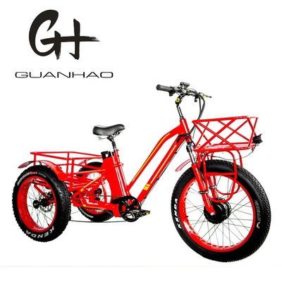 48V 750W motore anteriore 24 &quot;Triciclo elettrico per adulti con batteria al litio da 17AH e pneumatici da neve grassi