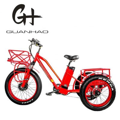 48V 750W motore anteriore 24 &quot;Triciclo elettrico per adulti con batteria al litio da 17AH e pneumatici da neve grassi