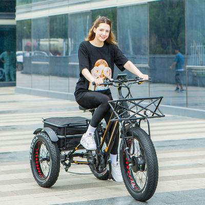 48V 750W motore anteriore 24 &quot;Triciclo elettrico per adulti con batteria al litio da 17AH e pneumatici da neve grassi