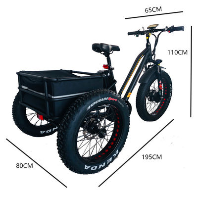 48V 750W motore anteriore 24 &quot;Triciclo elettrico per adulti con batteria al litio da 17AH e pneumatici da neve grassi