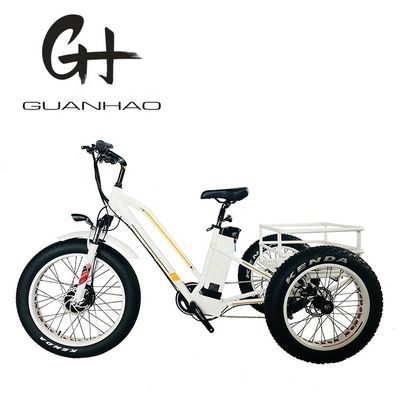 Tipo corpo aperto 24 pollici 20 pollici BAFANG Motor anteriore triciclo elettrico per adulti 48V21AH 750W