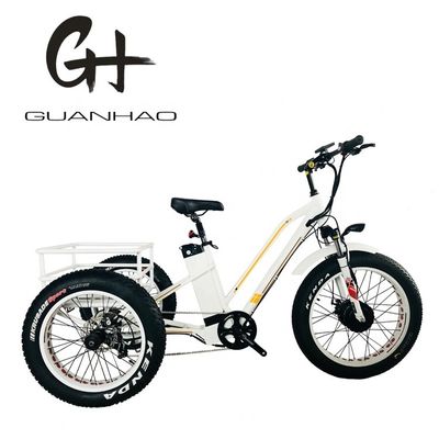 Batteria 48V21AH CE Mercato USA 750W 8FUN Motore anteriore 24-20 pollici 3 ruote Fat Tire Rickshaw elettrico