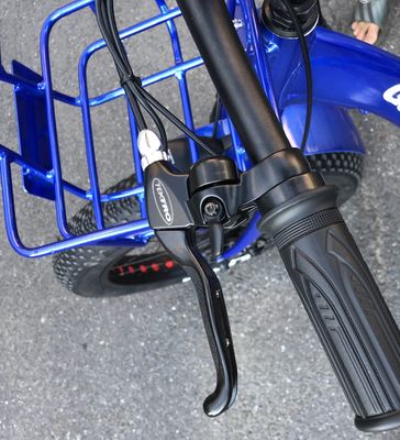 Guida tipo elettrico 24&quot;x4.0 Fat Tire Triciclo elettrico da carico con motore 48V 1000w
