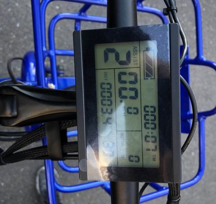 Guida tipo elettrico 24&quot;x4.0 Fat Tire Triciclo elettrico da carico con motore 48V 1000w