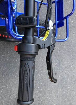 Guida tipo elettrico 24&quot;x4.0 Fat Tire Triciclo elettrico da carico con motore 48V 1000w