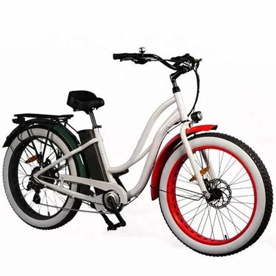 26&quot; Women Frame 17AH Batteria al litio 1000W Cargo elettrico 48V Bicicletta elettrica cittadina