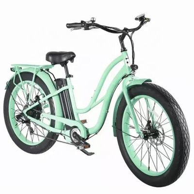 26&quot; Women Frame 17AH Batteria al litio 1000W Cargo elettrico 48V Bicicletta elettrica cittadina