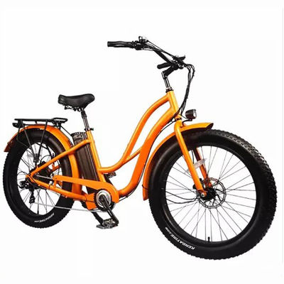 26&quot; Women Frame 17AH Batteria al litio 1000W Cargo elettrico 48V Bicicletta elettrica cittadina