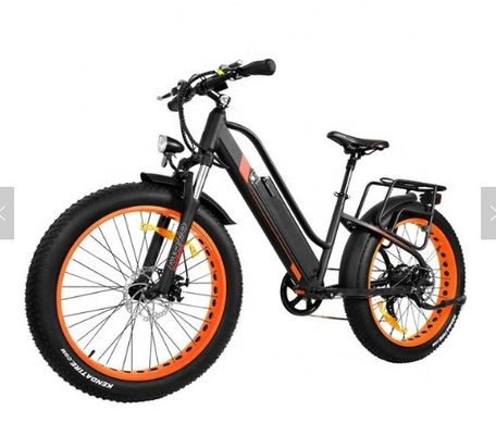 750W 50KM/H A2B CE OEM cinese 48V Motor Fat Tire Electric Mountain Bike Buona Bella
