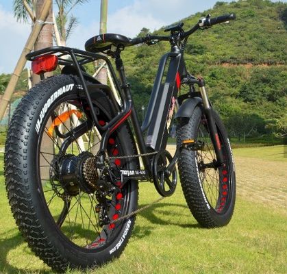 750W 50KM/H A2B CE OEM cinese 48V Motor Fat Tire Electric Mountain Bike Buona Bella