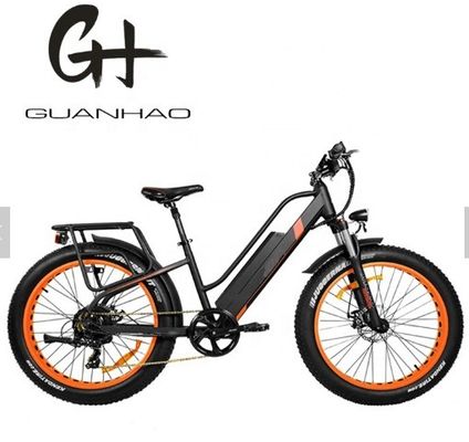 750W 50KM/H A2B CE OEM cinese 48V Motor Fat Tire Electric Mountain Bike Buona Bella