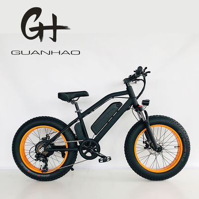 Mini Motocicletta elettrica da 20 pollici per bambini UK Display LCD certificato CE e Shimano 7 velocità