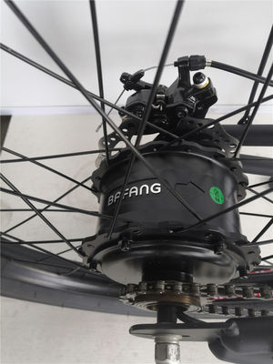 24&quot; Long Frame Electric Beach Cruiser Bike con motore senza spazzole da 48V e pneumatici 3.0