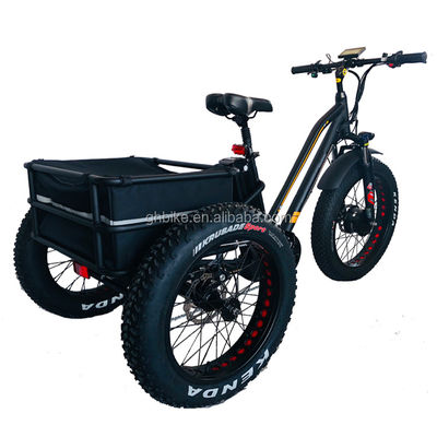 USA 24&quot;20&quot; Bafang motorizzato 8fun 750W 48V 17a Adulto 3 ruote Cargo Ebike triciclo elettrico