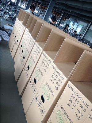 Bicicletta elettrica pieghevole per Israele Green Bike 350W Mag Wheel 36V Voltage 7 velocità ingranaggi